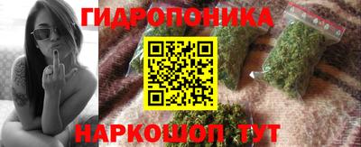 spice Кингисепп