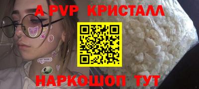 spice Кингисепп